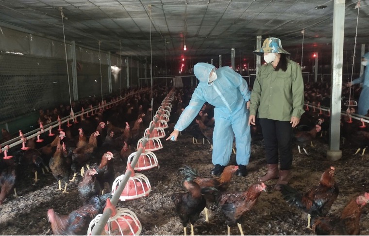 Anh nông dân Đắk Lắk thu tiền tỷ mỗi năm từ điện mặt trời mái nhà