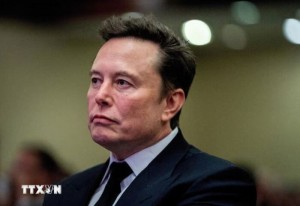Tỷ phú Elon Musk cảnh báo thuế cao đang kìm hãm năng lượng mặt trời