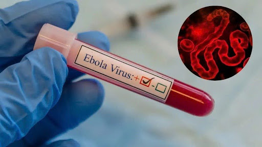Virus Ebola có xu hướng lan rộng và biện pháp phòng ngừa của các nước